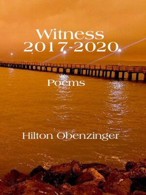 cover image of Witness 2017-2020